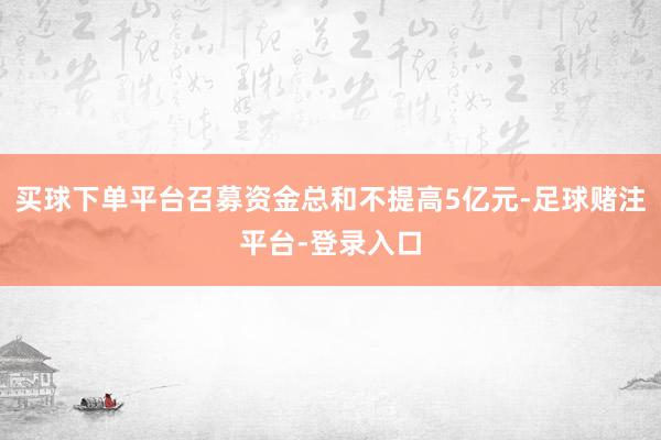 买球下单平台召募资金总和不提高5亿元-足球赌注平台-登录入口