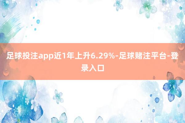 足球投注app近1年上升6.29%-足球赌注平台-登录入口