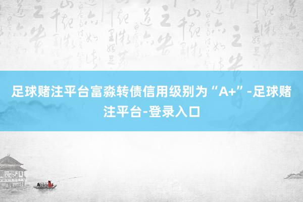 足球赌注平台富淼转债信用级别为“A+”-足球赌注平台-登录入口