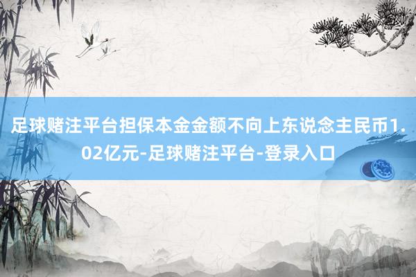 足球赌注平台担保本金金额不向上东说念主民币1.02亿元-足球赌注平台-登录入口