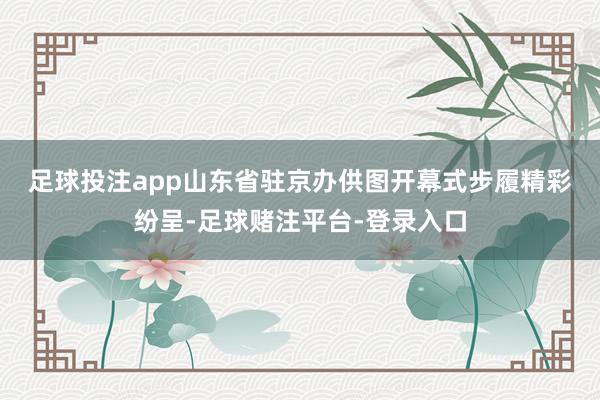 足球投注app山东省驻京办供图　　开幕式步履精彩纷呈-足球赌注平台-登录入口