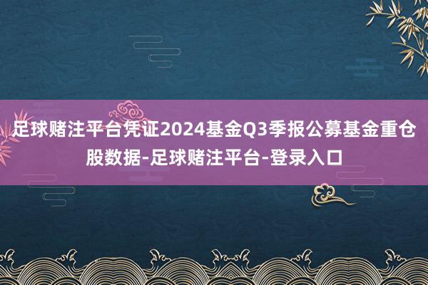 足球赌注平台凭证2024基金Q3季报公募基金重仓股数据-足球赌注平台-登录入口